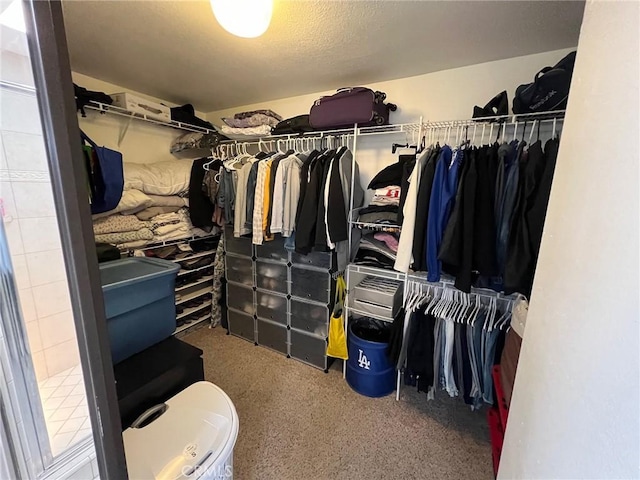 12413 Redrock Rd, Victorville, CA 92392 - spacious closet with carpet flooring