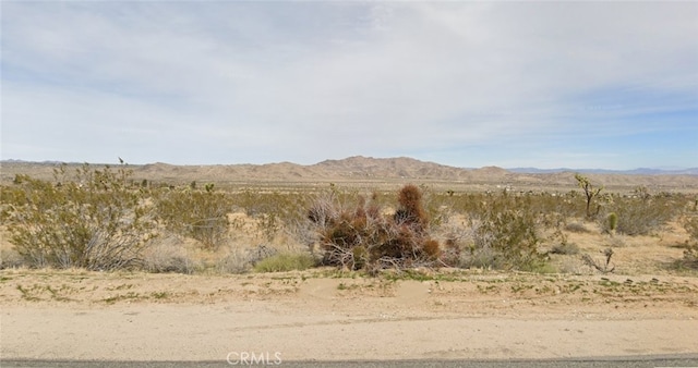 0 Alta Loma Dr, Joshua Tree, CA 92252