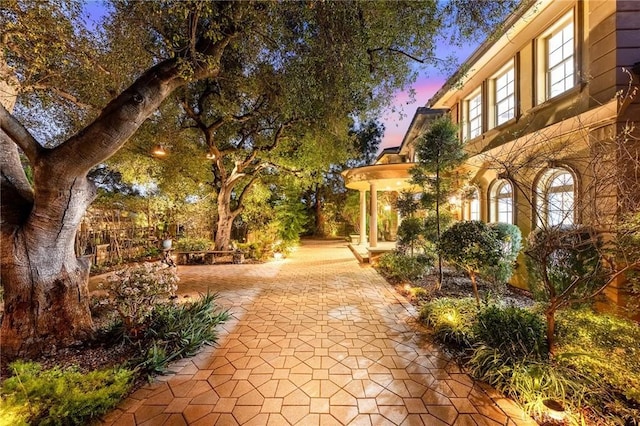 1539 Rodeo Rd, Arcadia, CA 91006 - view of property's community featuring a patio area