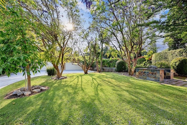 1539 Rodeo Rd, Arcadia, CA 91006 - view of yard