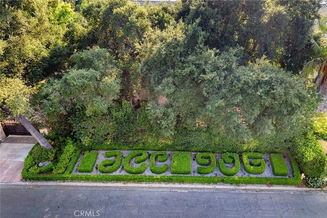 1539 Rodeo Rd, Arcadia, CA 91006 - bird's eye view of a forest