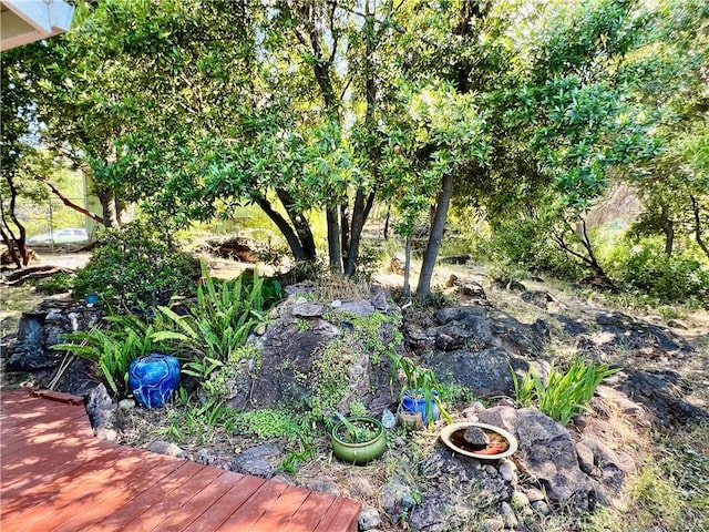 10431 Edgewater Dr, Kelseyville, CA 95451 - photo 8