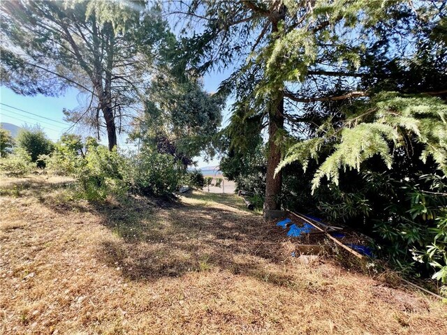 10431 Edgewater Dr, Kelseyville, CA 95451 - photo 17