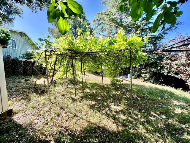 10431 Edgewater Dr, Kelseyville, CA 95451 - photo 16