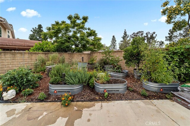 823 Sonora Ct, San Dimas, CA 91773 - fenced backyard featuring a vegetable garden