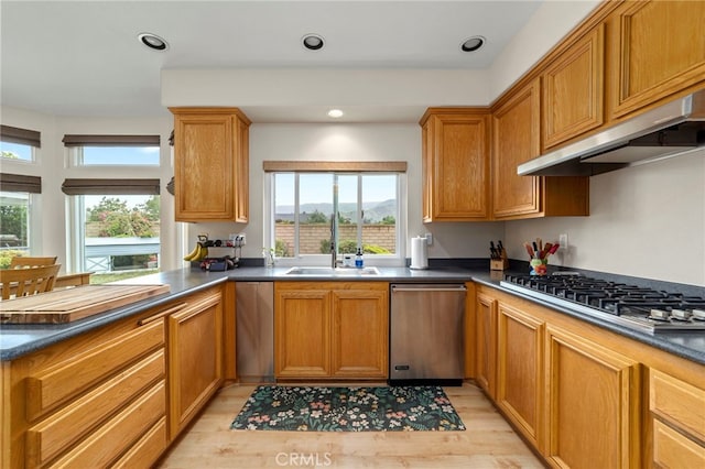 823 Sonora Ct, San Dimas, CA 91773 - kitchen featuring a sink, appliances with stainless steel finishes, light wood finished floors, and healthy amount of natural light