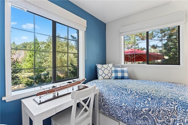 27625 High Knoll Rd, Lake Arrowhead, CA 92352 - bedroom with multiple windows