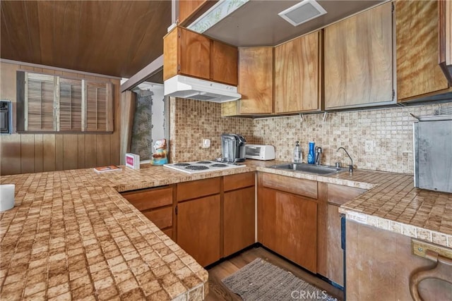 11970 N Dr, Clearlake, CA 95422 - kitchen with under cabinet range hood, light countertops, white electric stovetop, a sink, and decorative backsplash