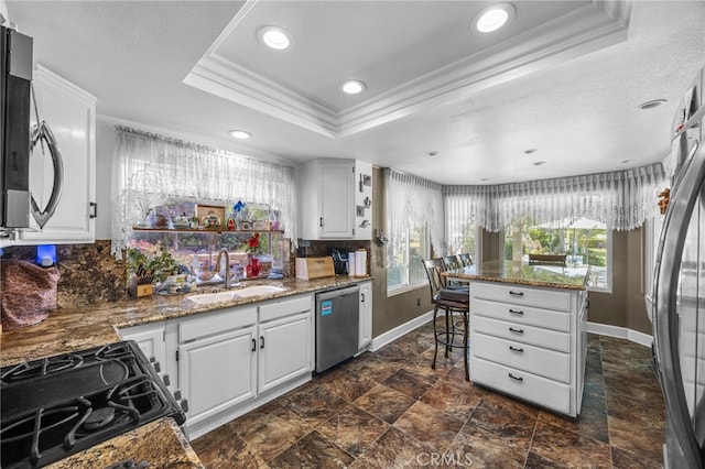 17477 Owl Tree Rd, Riverside, CA 92504 - kitchen with appliances with stainless steel finishes, a sink, a raised ceiling, baseboards, and ornamental molding