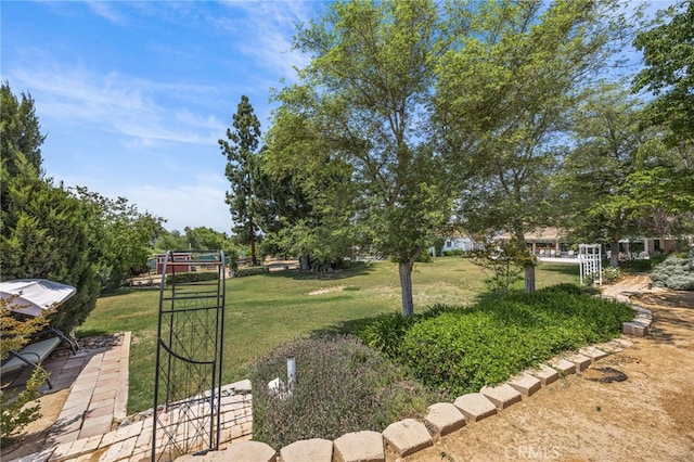 17477 Owl Tree Rd, Riverside, CA 92504 - view of grassy yard