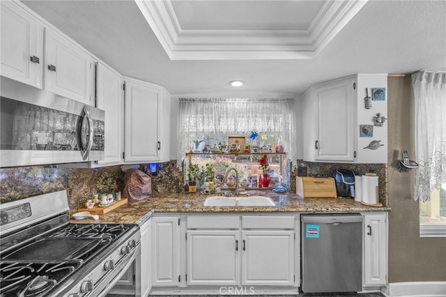 17477 Owl Tree Rd, Riverside, CA 92504 - kitchen featuring appliances with stainless steel finishes, a tray ceiling, a sink, white cabinets, and ornamental molding