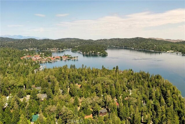 118 E Ln, Lake Arrowhead, CA 92352 - water view with a forest