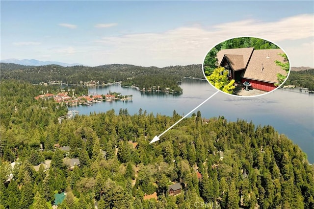 118 E Ln, Lake Arrowhead, CA 92352 - drone / aerial view of a forest and a large body of water
