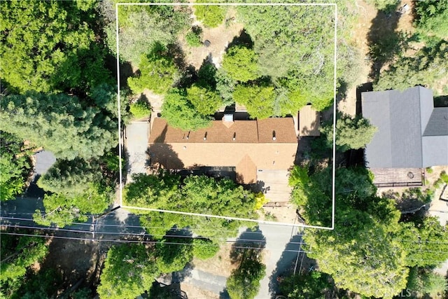 118 E Ln, Lake Arrowhead, CA 92352 - aerial view of property and surrounding area with property parcel outlined