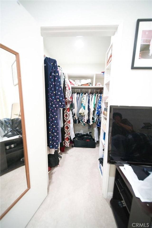 532 Venice Way Unit 8, Inglewood, CA 90302 - walk in closet featuring carpet flooring