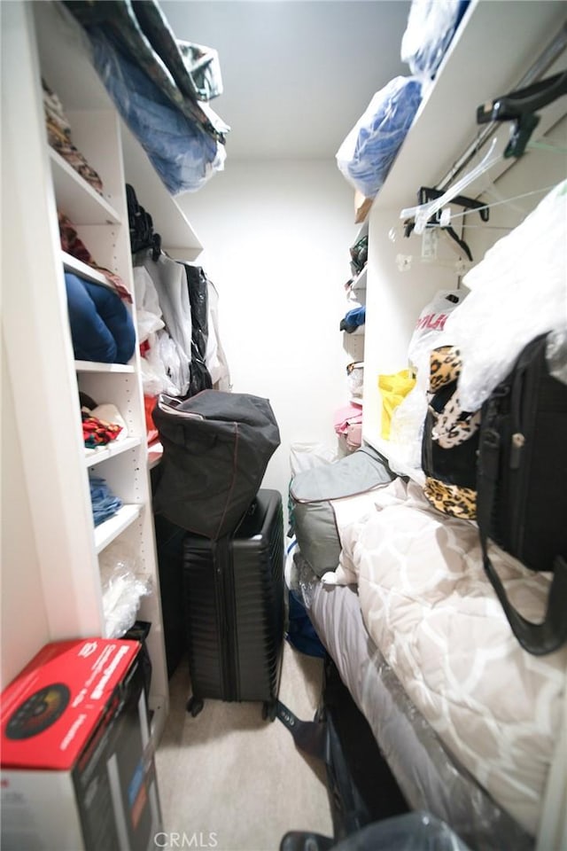 532 Venice Way Unit 8, Inglewood, CA 90302 - walk in closet featuring carpet