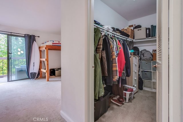 201 Todd Ct, Oceanside, CA 92054 - walk in closet featuring carpet flooring