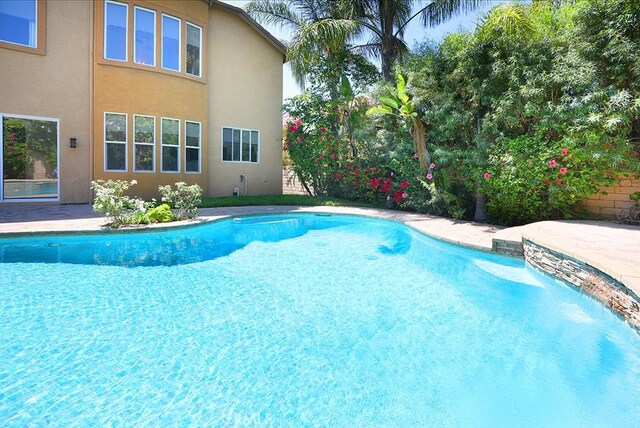 1019 N Sonora Cir, Orange, CA 92869 - outdoor pool featuring a patio