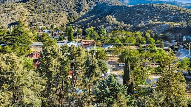 3504 Minnesota Trl, Frazier Park, CA 93225 - bird's eye view