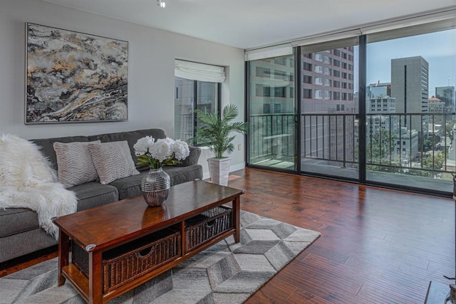 1333 8th Ave Unit 905, San Diego, CA 92101 - living area featuring healthy amount of natural light, wood finished floors, a city view, and floor to ceiling windows