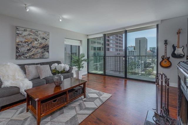 1333 8th Ave Unit 905, San Diego, CA 92101 - living area featuring wood finished floors, floor to ceiling windows, and baseboards