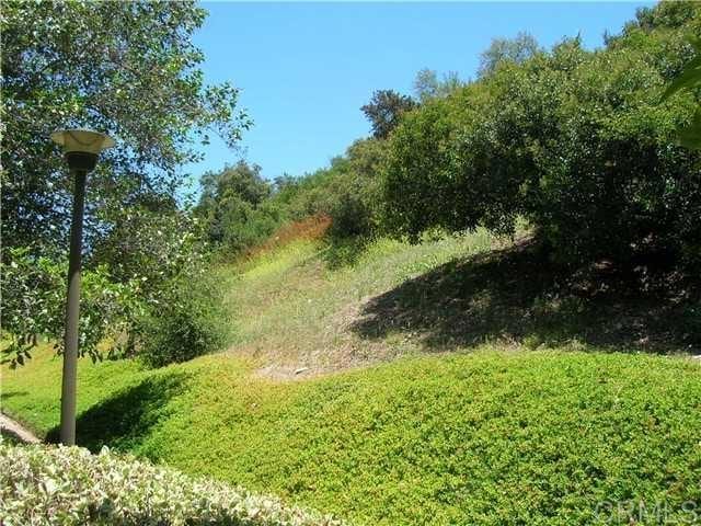 11215 Avenida De Los Lobos Unit F, Rancho Bernardo San Diego, CA 92127 - view of nature
