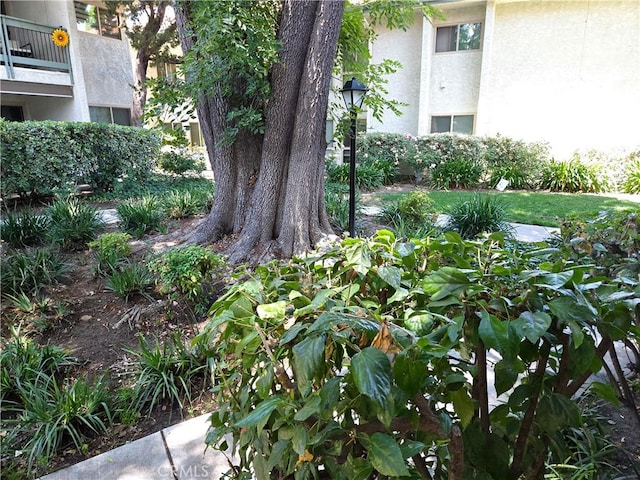 4734 Park Granada Unit 238, Calabasas, CA 91302 - view of yard