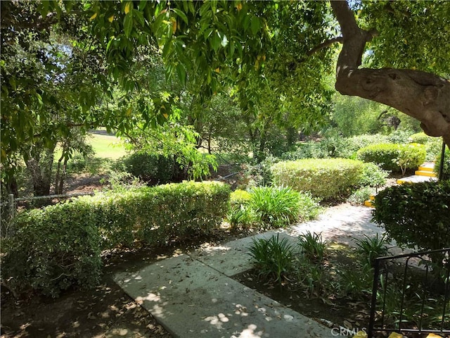 4734 Park Granada Unit 238, Calabasas, CA 91302 - view of yard