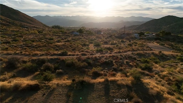 49680 Oskar Ln, Morongo Valley, CA 92256