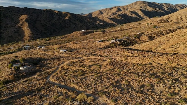 49680 Oskar Ln, Morongo Valley, CA 92256