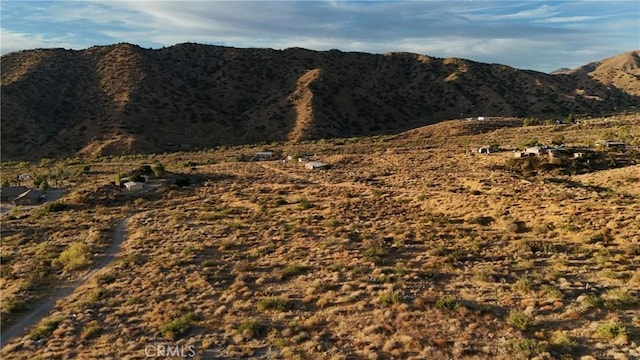 49680 Oskar Ln, Morongo Valley, CA 92256