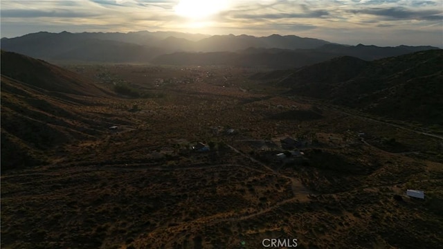 49680 Oskar Ln, Morongo Valley, CA 92256