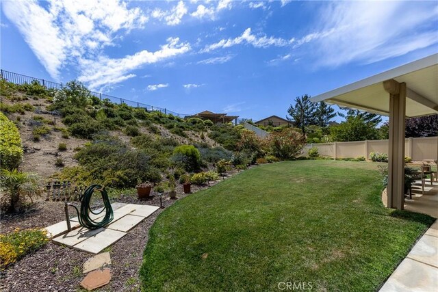 317 Calvert Park, Beaumont, CA 92223 - view of yard