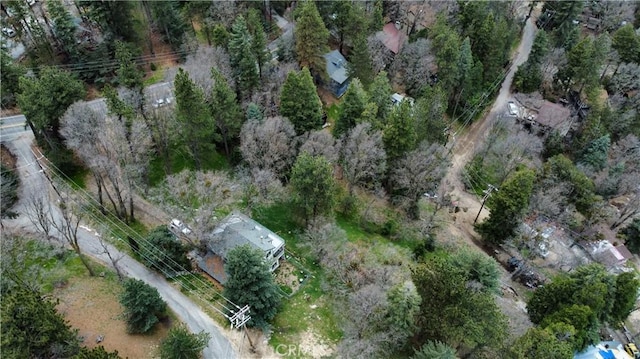 757 Scenic View Dr, Crestline, CA 92325