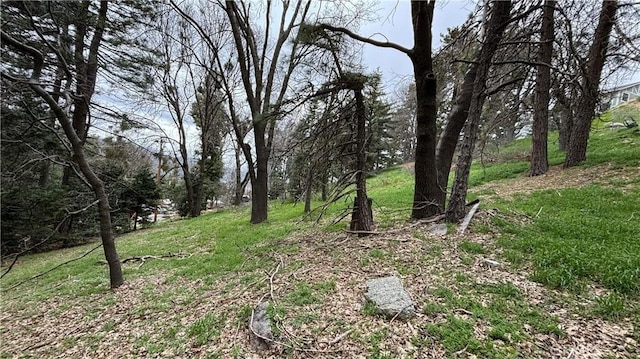 757 Scenic View Dr, Crestline, CA 92325