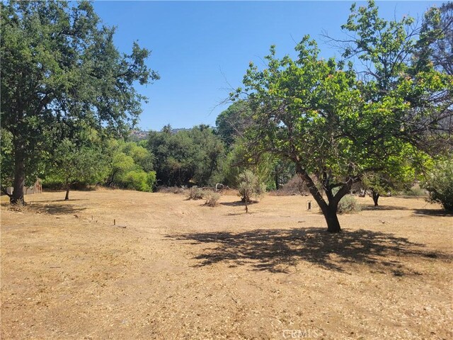 30685 Yosemite Springs Pkwy, Coarsegold, CA 93614 - photo 17