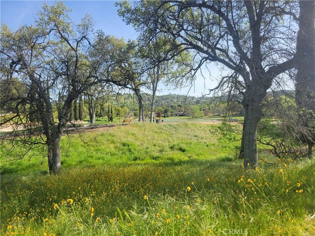 30685 Yosemite Springs Pkwy, Coarsegold, CA 93614 - photo 14