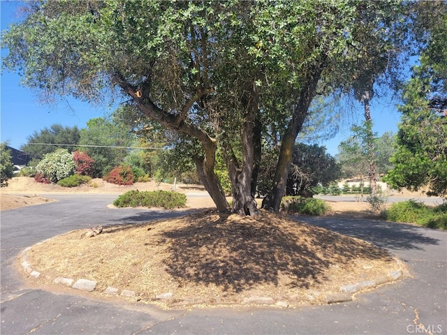 30685 Yosemite Springs Pkwy, Coarsegold, CA 93614 - photo 3