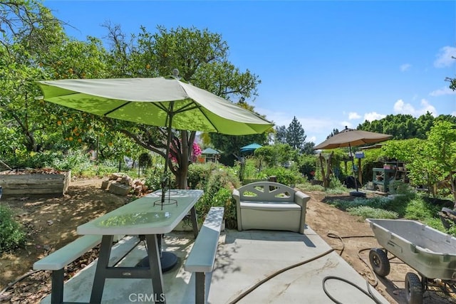 10830 Orchard View Ln, Riverside, CA 92503 - view of patio / terrace