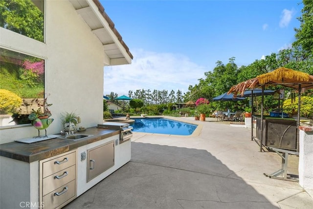 10830 Orchard View Ln, Riverside, CA 92503 - outdoor pool with a sink, a patio, and a diving board