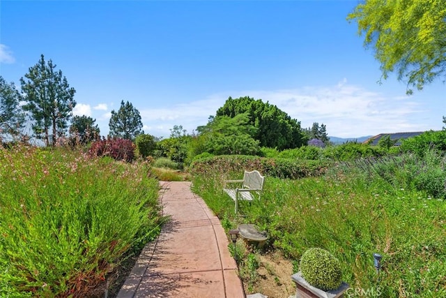 10830 Orchard View Ln, Riverside, CA 92503 - view of yard