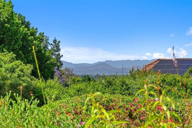 10830 Orchard View Ln, Riverside, CA 92503 - view of mountain backdrop