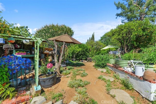 10830 Orchard View Ln, Riverside, CA 92503 - view of yard