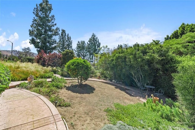 10830 Orchard View Ln, Riverside, CA 92503 - view of yard