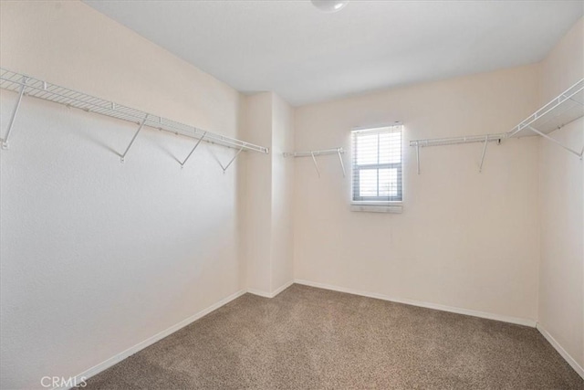 36340 Sicily Ln, Winchester, CA 92596 - walk in closet featuring carpet flooring
