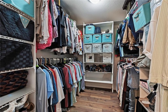 9081 Mandarin Ln, Riverside, CA 92508 - walk in closet featuring wood finished floors