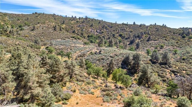 30771 Fox Ridge Ct, Tehachapi, CA 93561 - mountain view
