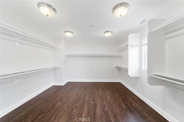15 Basilica Pl, Ladera Ranch, CA 92694 - walk in closet with wood finished floors