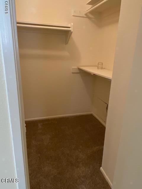 330 S Mentor Ave Unit 233, Pasadena, CA 91106 - spacious closet featuring carpet