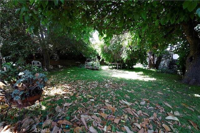 6441 Varna Ave, Valley Glen, CA 91401 - view of grassy yard